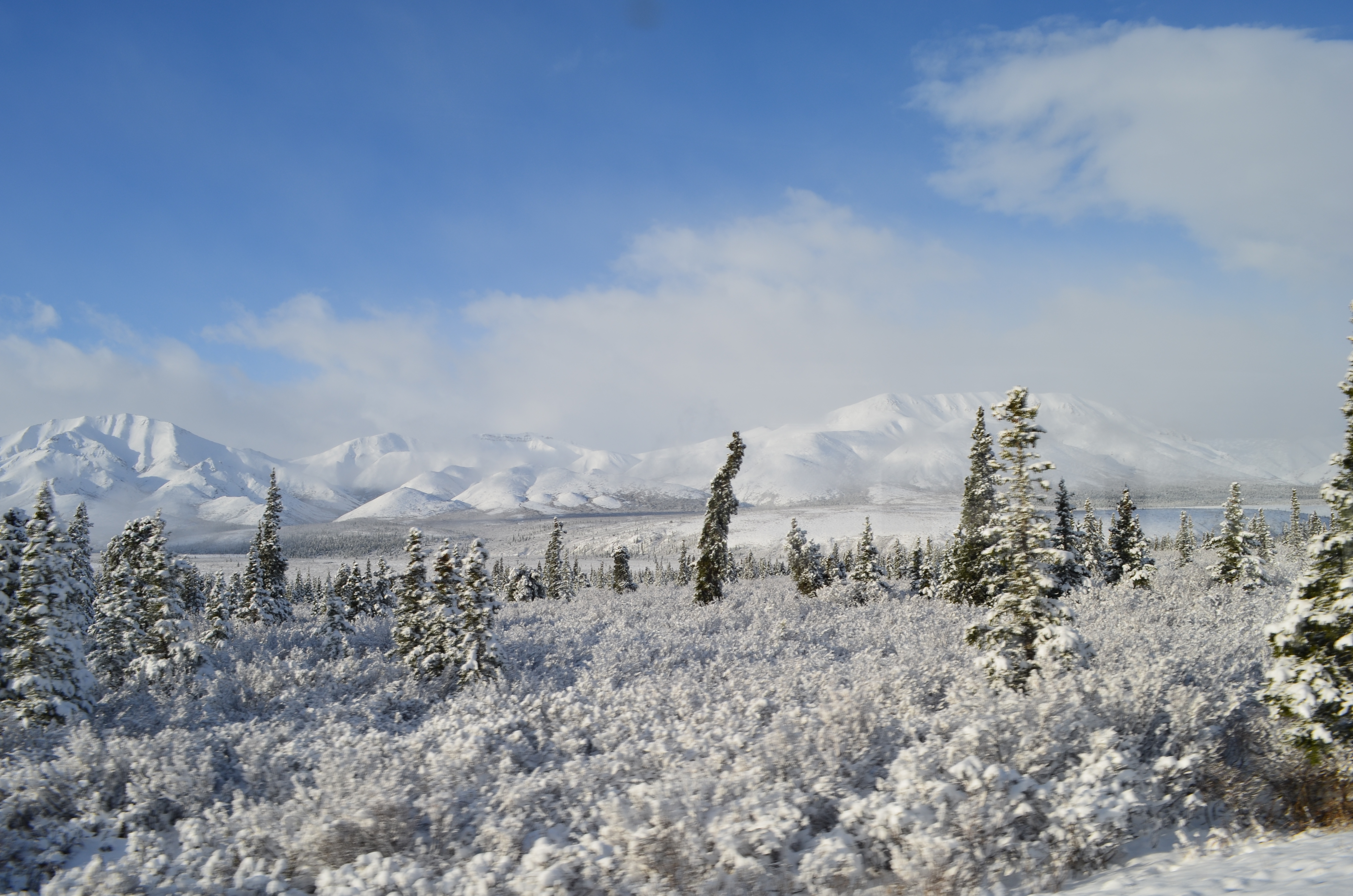 ./2017/08 - Alaska Cruise/03 - Denali/DSC_0215.JPG